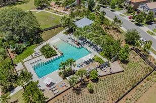 3877 Burdick Loop, Odessa, FL 33556 - Photo 59