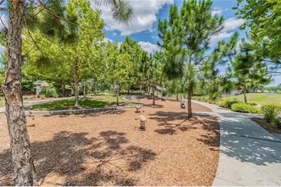 3877 Burdick Loop, Odessa, FL 33556 - Photo 61