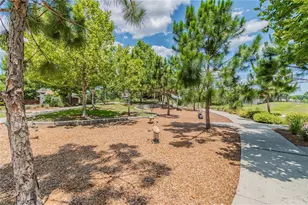 3877 Burdick Loop, Odessa, FL 33556 - Photo 61