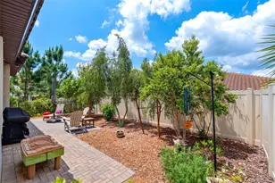 3877 Burdick Loop, Odessa, FL 33556 - Photo 39