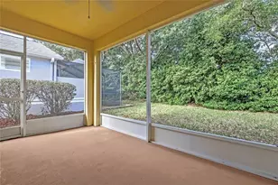 8049 Sanguinelli Rd, Land O Lakes, FL 34637 - Photo 37