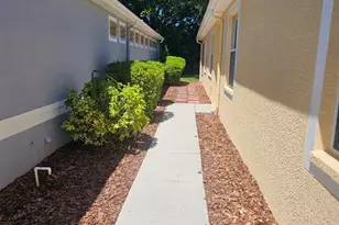 8049 Sanguinelli Rd, Land O Lakes, FL 34637 - Photo 5
