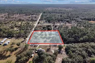 11990 SE 55th Ln, Morriston, FL 32668 - Photo 33