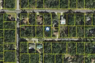 3061 E Scofield St, Inverness, FL 34453 - Photo 1