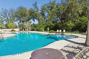 6065 Spring Crayfish Ave, New Port Richey, FL 34653 - Photo 51