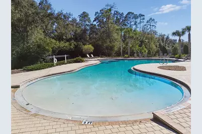 6065 Spring Crayfish Avenue, New Port Richey, FL 34653 - Photo 55