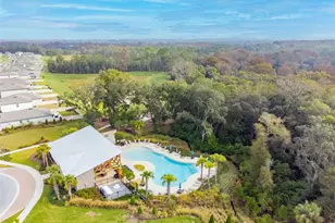 6065 Spring Crayfish Ave, New Port Richey, FL 34653 - Photo 71