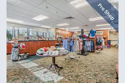 1211 Almondwood Drive, Trinity, FL 34655 - Photo 31