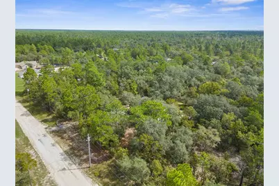 15236 Mottled Owl Road, Brooksville, FL 34614 - Photo 29