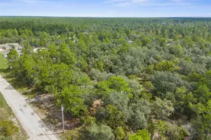 15236 Mottled Owl Rd, Brooksville, FL 34614 - Photo 29