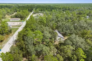 15236 Mottled Owl Rd, Brooksville, FL 34614 - Photo 31