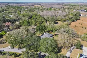 11003 Nest Ct, Odessa, FL 33556 - Photo 51