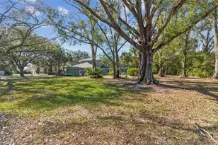 11003 Nest Ct, Odessa, FL 33556 - Photo 47