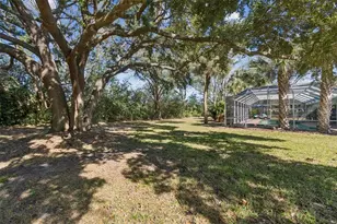 11003 Nest Ct, Odessa, FL 33556 - Photo 43