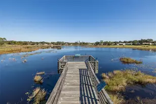 18845 Fairway Green Dr, Hudson, FL 34667 - Photo 65