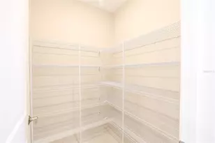 2900 Lilla Trl, Odessa, FL 33556 - Photo 13