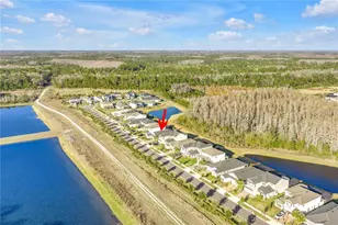 2900 Lilla Trl, Odessa, FL 33556 - Photo 49