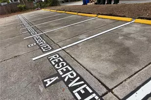 1156 Orange Ave, Dunedin, FL 34698 - Photo 13