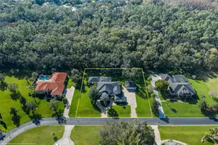 1226 Oak Meadow Point, New Port Richey, FL 34655 - Photo 65