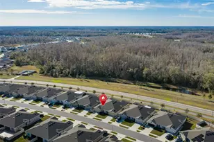 17911 Turning Leaf Cir, Land O Lakes, FL 34638 - Photo 49