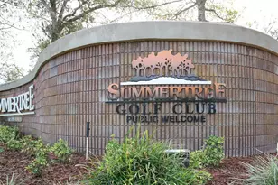 11515 Scotch Pine Dr, New Port Richey, FL 34654 - Photo 35