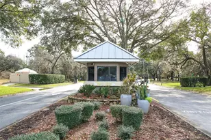 11515 Scotch Pine Dr, New Port Richey, FL 34654 - Photo 33