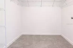 6090 Shiner St, Land O Lakes, FL 34638 - Photo 21