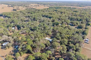 18625 Deason Dr, Spring Hill, FL 34610 - Photo 31