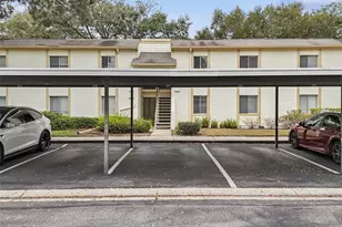 208 Palmetto Ct, Oldsmar, FL 34677 - Photo 61