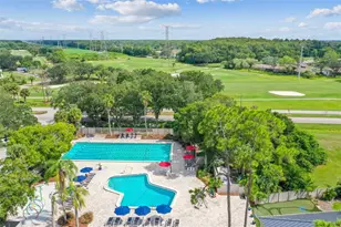 208 Palmetto Ct, Oldsmar, FL 34677 - Photo 55