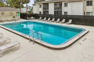 208 Palmetto Ct, Oldsmar, FL 34677 - Photo 57