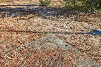 3700 W Glen Street, Lecanto, FL 34461 - Photo 5