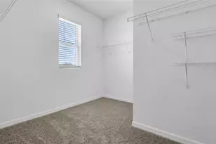 10583 Gentle Rain Dr E, Land O Lakes, FL 34638 - Photo 43