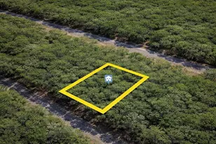 1650 E Badger Dr, Dunnellon, FL 34434 - Photo 1