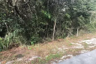 189 Candlewick Ave, Spring Hill, FL 34608 - Photo 1