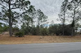 4143 W Dorchester Cir, Dunnellon, FL 34433 - Photo 1