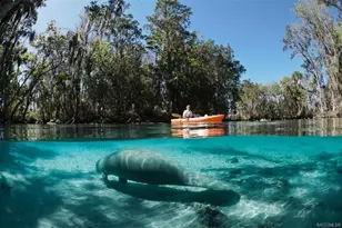 263 W Doerr Path, Hernando, FL 34442 - Photo 79