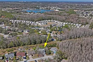 2247 Ground Squirrel Dr, New Port Richey, FL 34655 - Photo 35