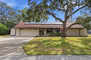 8398 Begonia St, Spring Hill, FL 34608 - Photo 1