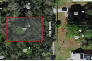 6830 W Twins Cresent Dr, Homosassa, FL 34446 - Photo 1