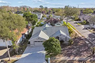 377 Wood Chuck Ave, Tarpon Springs, FL 34689 - Photo 63