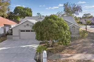 377 Wood Chuck Ave, Tarpon Springs, FL 34689 - Photo 61