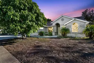 377 Wood Chuck Ave, Tarpon Springs, FL 34689 - Photo 1