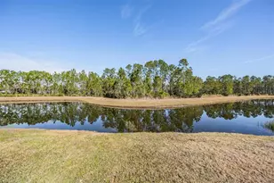 3378 Tour Trce, Land O Lakes, FL 34638 - Photo 37