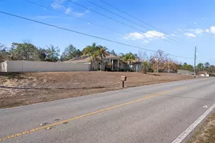 7285 Nightwalker Rd, Weeki Wachee, FL 34613 - Photo 77