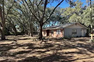 1918 Sydney Rd, Valrico, FL 33594 - Photo 3