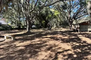 1918 Sydney Rd, Valrico, FL 33594 - Photo 9