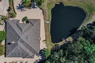 5747 Fieldspring Ave, New Port Richey, FL 34655 - Photo 5