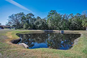 5747 Fieldspring Ave, New Port Richey, FL 34655 - Photo 75