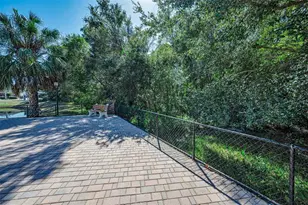 5747 Fieldspring Ave, New Port Richey, FL 34655 - Photo 69